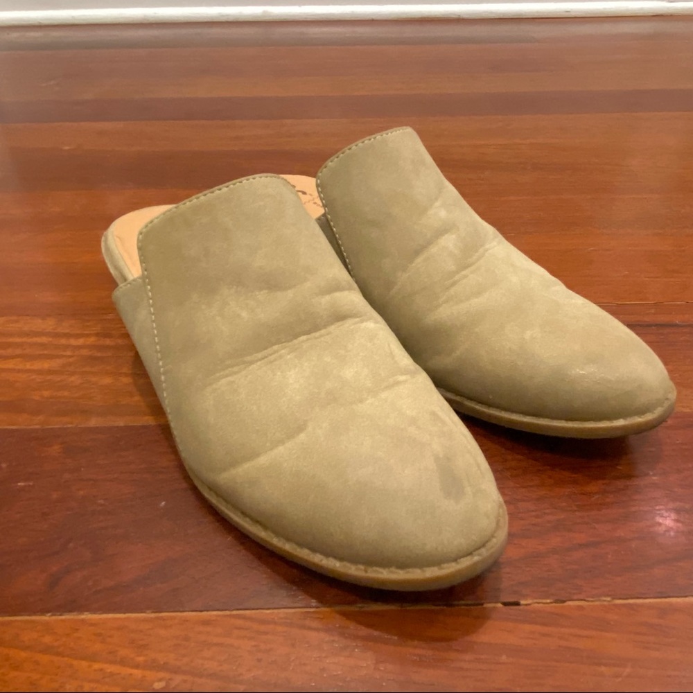 BC Vegan Slides